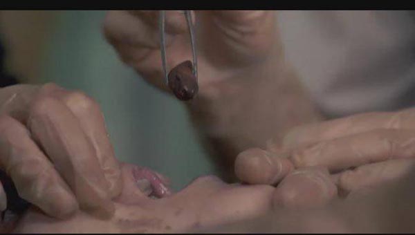 沉默的羔羊11.jpg?v=2