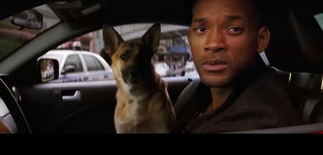 我是传奇1.jpg?v=2