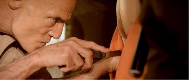 人体蜈蚣39.jpg?v=2