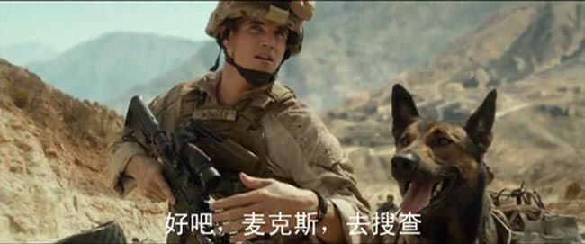 军犬麦克斯/海军忠犬2.jpg?v=2