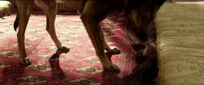 军犬麦克斯/海军忠犬4.jpg?v=2