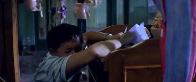 万物生长2.jpg?v=2