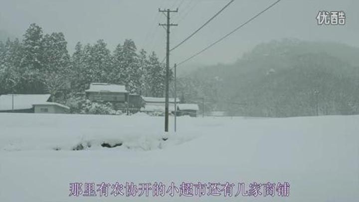 小森林 冬春篇1.jpg?v=2