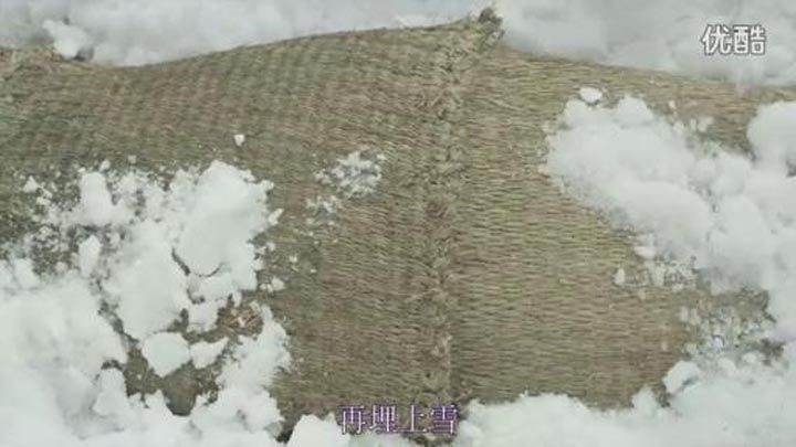 小森林 冬春篇9.jpg?v=2