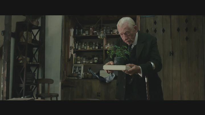 福尔摩斯先生4.jpg?v=2