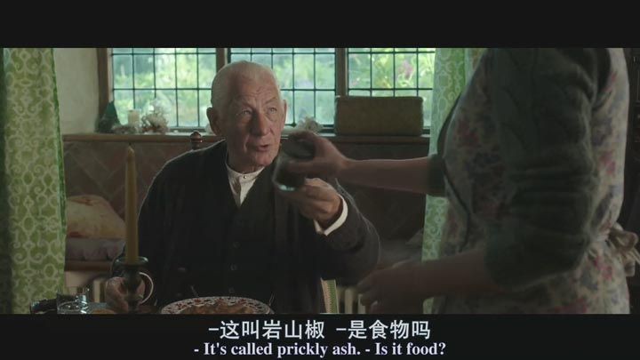 福尔摩斯先生8.jpg?v=2