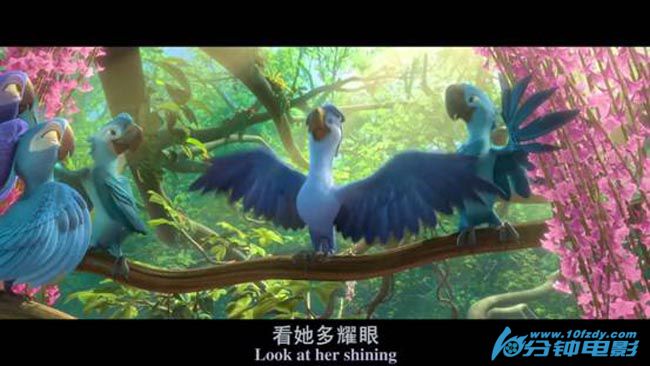 里约大冒险28.jpg?v=2