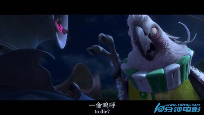 里约大冒险212.jpg?v=2