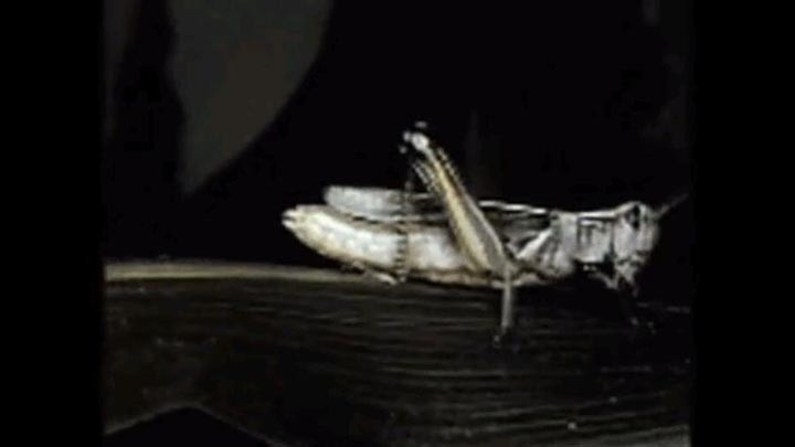 慢性折磨呕吐室9.jpg?v=2