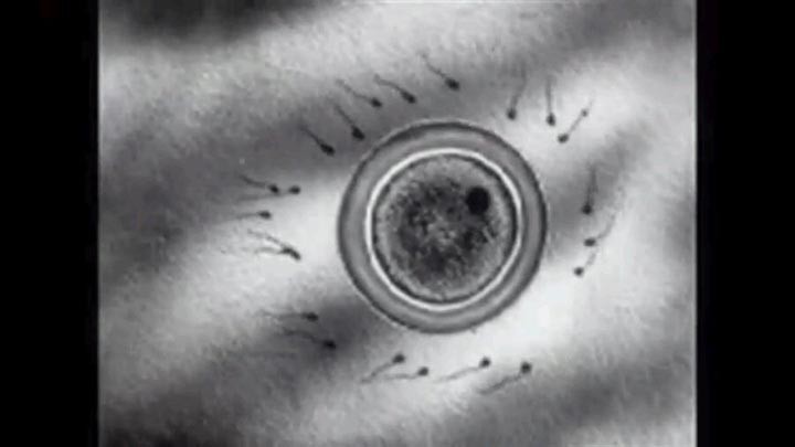 慢性折磨呕吐室10.jpg?v=2