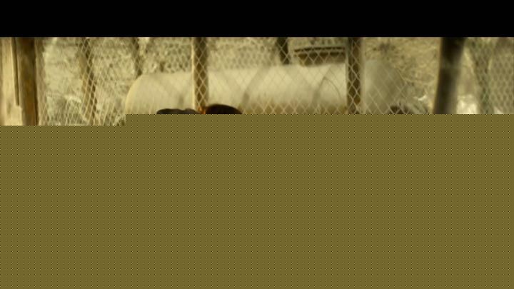 灭绝:丧尸屠城12.jpg?v=2