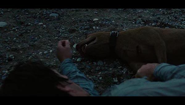 老无所依9.jpg?v=2