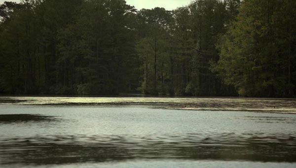 杰莎贝尔11.jpg?v=2