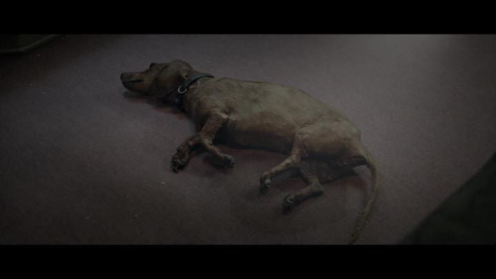 机器纪元6.jpg?v=2