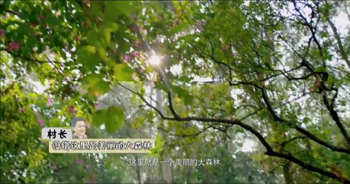 爸爸去哪儿1.jpg?v=2