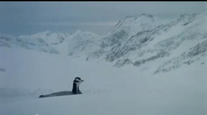 迁徙的鸟6.jpg?v=2