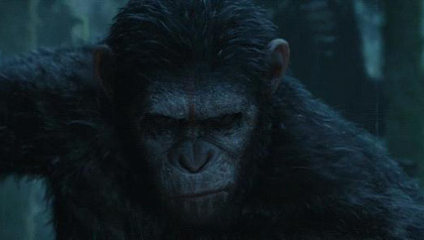 猩球崛起2黎明之战1.jpg?v=2