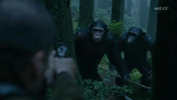 猩球崛起2黎明之战9.jpg?v=2