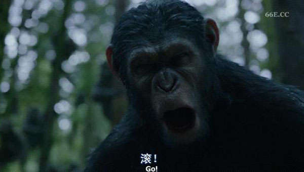 猩球崛起2黎明之战10.jpg?v=2