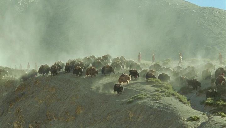 喜马拉雅2.jpg?v=2