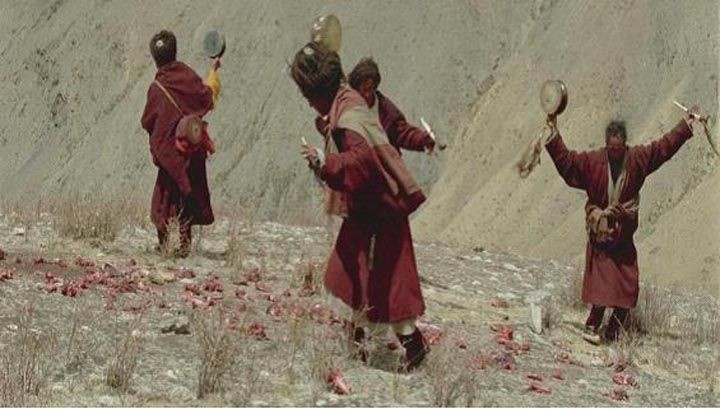 喜马拉雅9.jpg?v=2