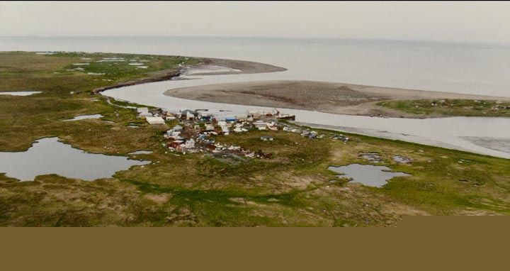 南国野兽1.jpg?v=2