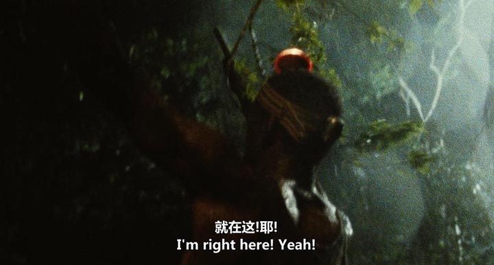 南国野兽11.jpg?v=2