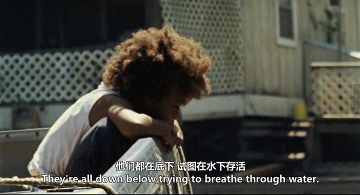 南国野兽12.jpg?v=2