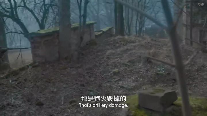 弗兰肯斯坦的军队9.jpg?v=2