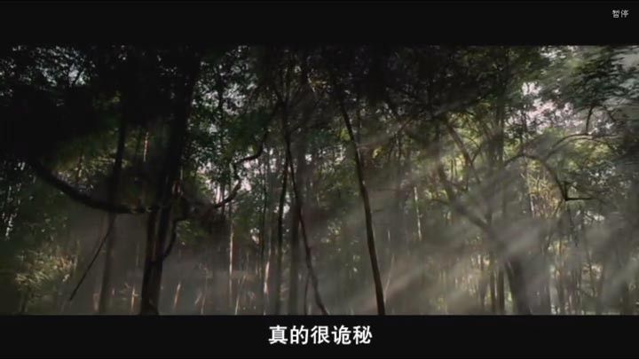 幽长周末12.jpg?v=2