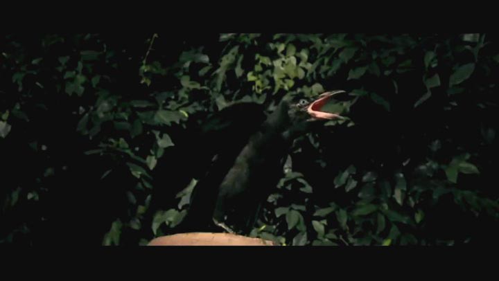 孤岛惊魂22.jpg?v=2