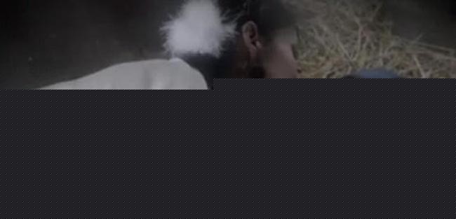 非狐外传1.jpg?v=2