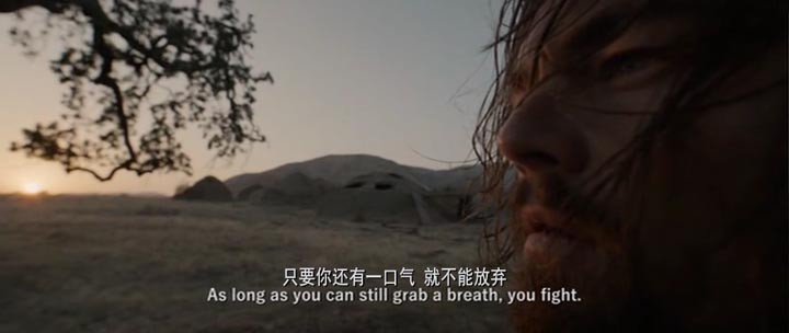 荒野猎人2.jpg?v=2