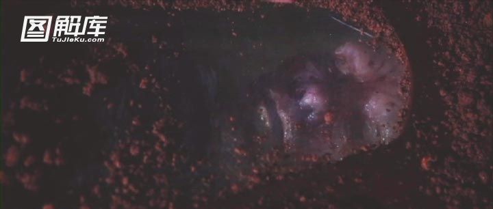 尤物大屠杀8.jpg?v=2