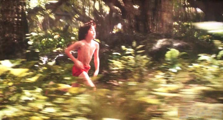 奇幻森林1.jpg?v=2