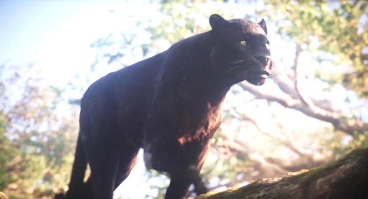 奇幻森林2.jpg?v=2