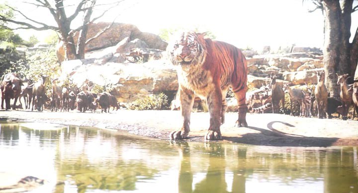 奇幻森林7.jpg?v=2