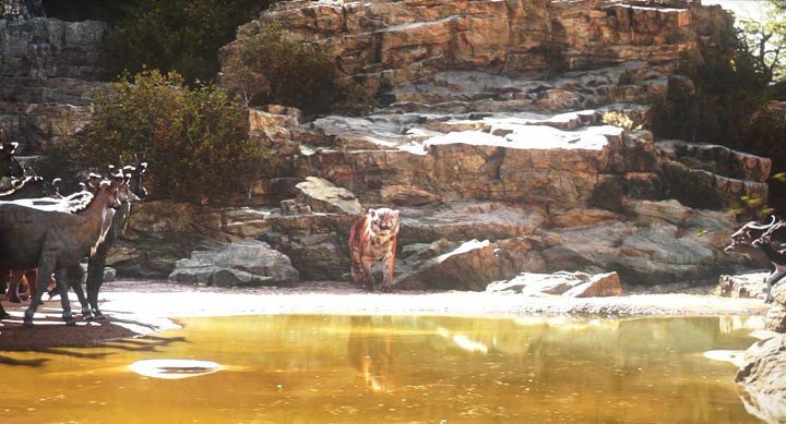 奇幻森林5.jpg?v=2