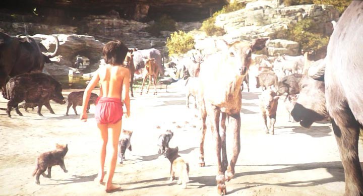 奇幻森林4.jpg?v=2