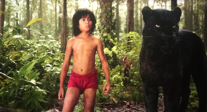 奇幻森林11.jpg?v=2